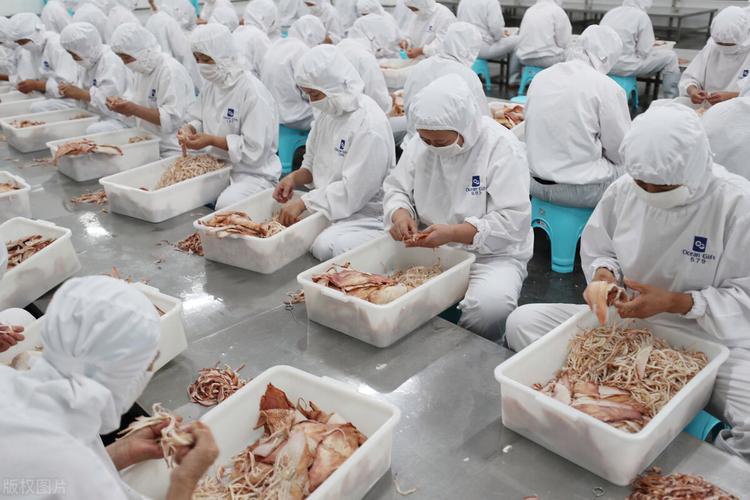 食品产业人员加工产品图 食用农产品初加工的战略纵深与企业实践