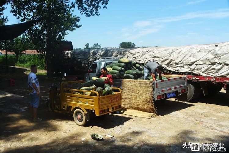 为啥说农产品深加工是农业种植唯一出路,在农村建工厂现实吗?
